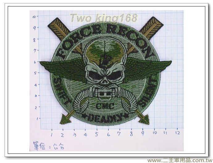 ★美軍 美國海軍陸戰隊強偵連 臂章(綠色箭頭型) 2-22-4