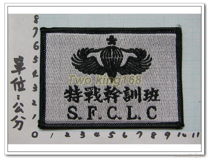 特戰幹訓班(ACU)4-13-1☆空降特戰 空特 臂章