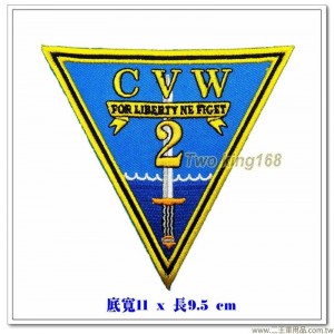 美國海軍航空母艦航空翼(CVW-2)臂章【國外579】